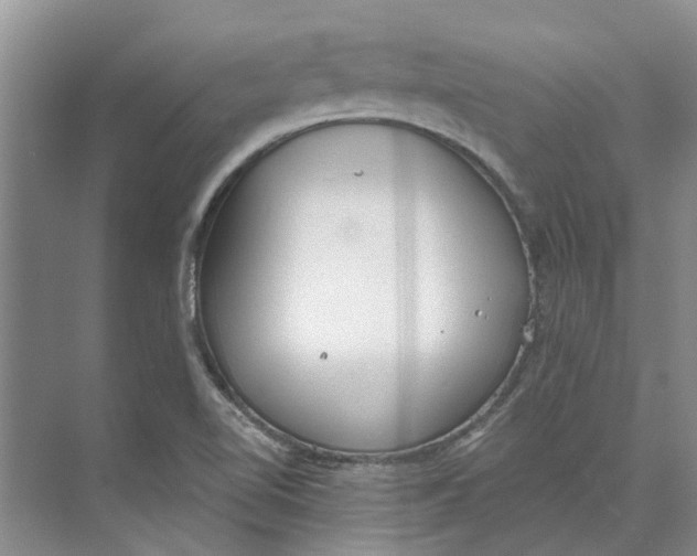 X0000073971510200609111728