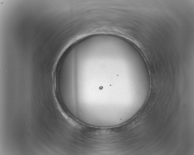 X0000073971515200609111729