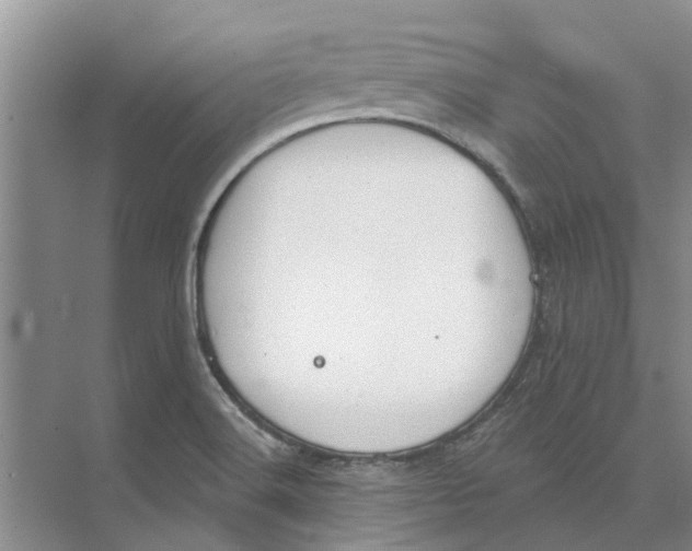 X0000073971516200609111729