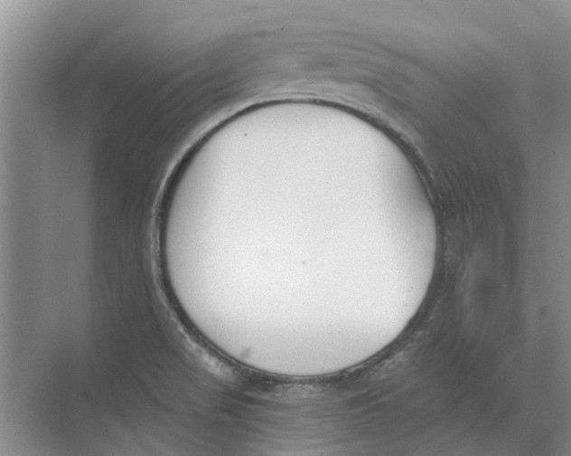 X0000073971517200609111729