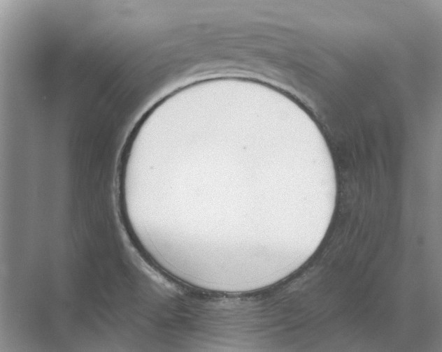 X0000073971518200609111729