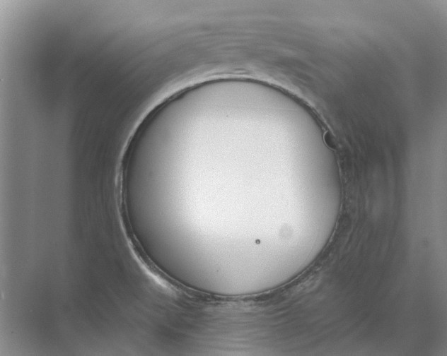 X0000073971519200609111729