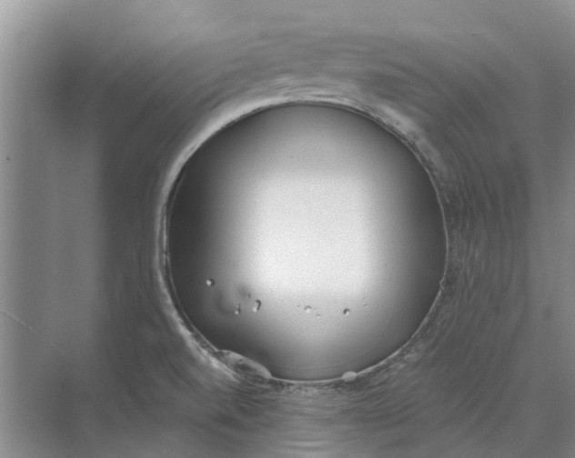 X0000073971520200609111729