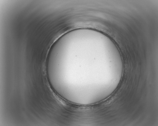 X0000073971521200609111729