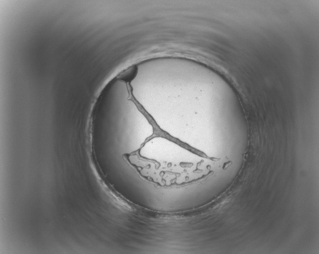 X0000073971522200609111729