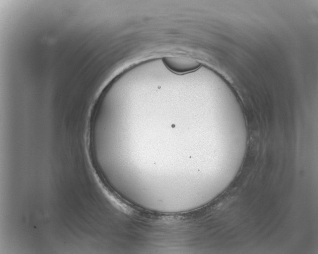 X0000073971523200609111729