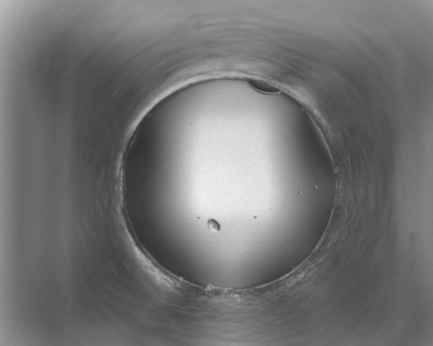 X0000073971524200609111729