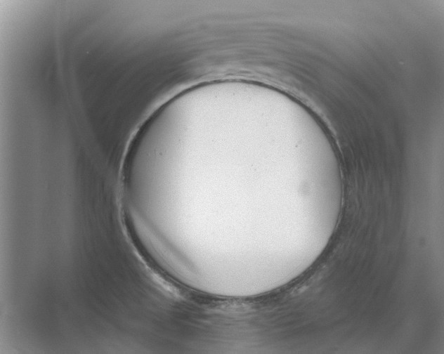 X0000073971525200609111729