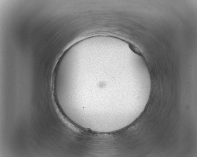 X0000073971526200609111729