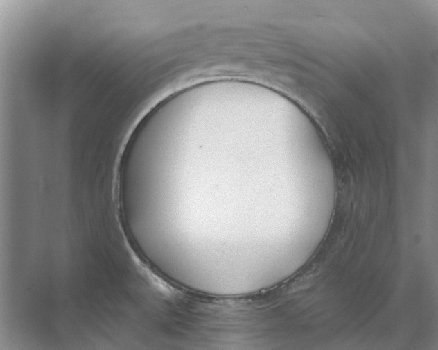 X0000073971527200609111729