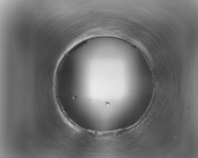 X0000073971528200609111729