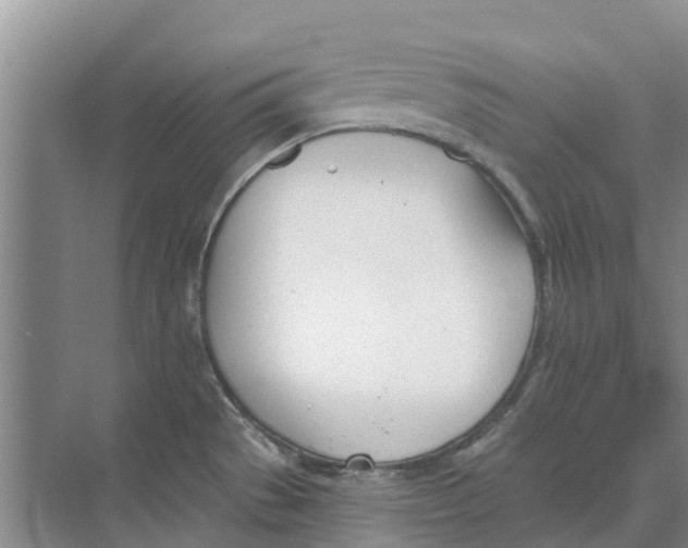 X0000073971529200609111729