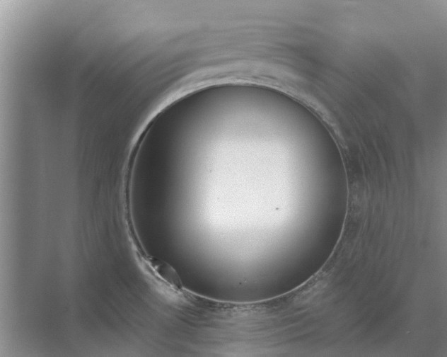 X0000073971530200609111729