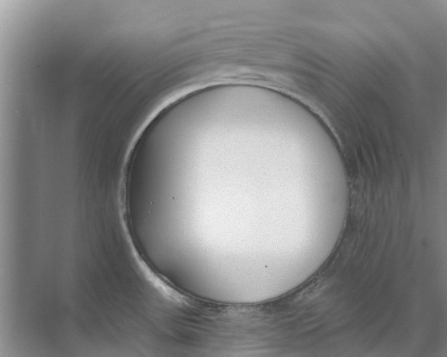 X0000073971531200609111729