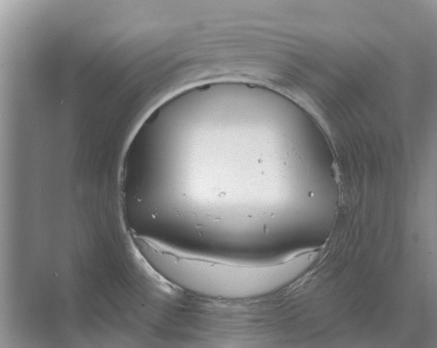 X0000073971532200609111729