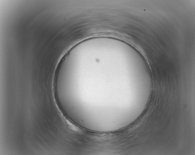 X0000073971533200609111729