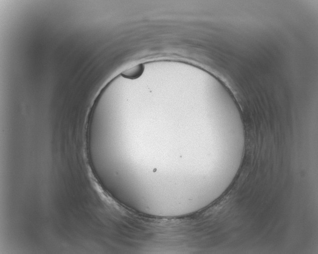 X0000073971534200609111729