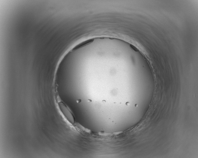 X0000073971536200609111729