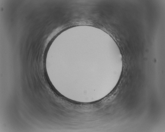 X0000073970008200609181503