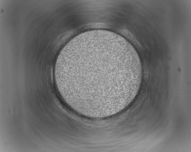 X0000073970014200609181503
