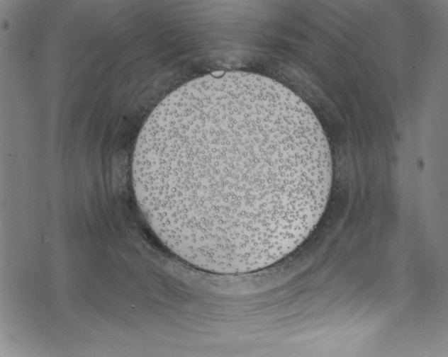 X0000073970030200609181502