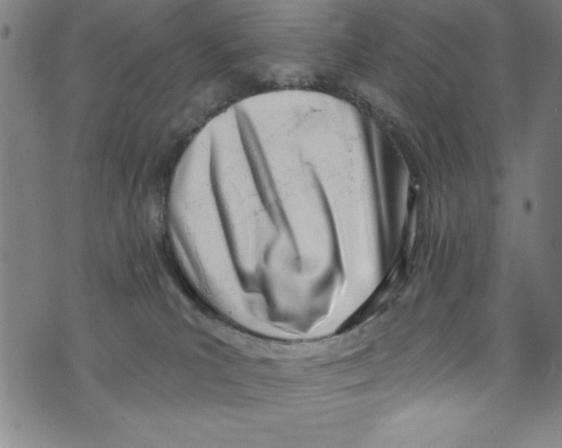 X0000073970039200609181502