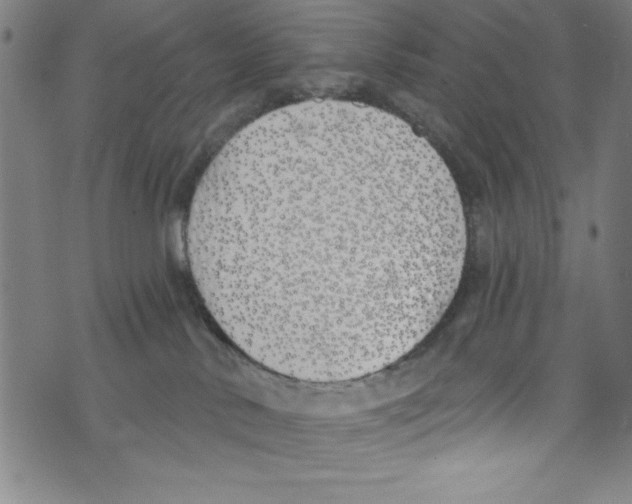 X0000073970042200609181502