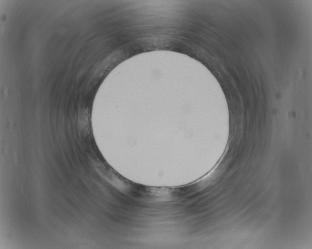 X0000073970144200609181501