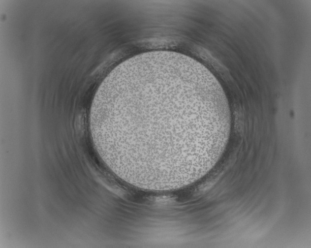X0000073970165200609181500