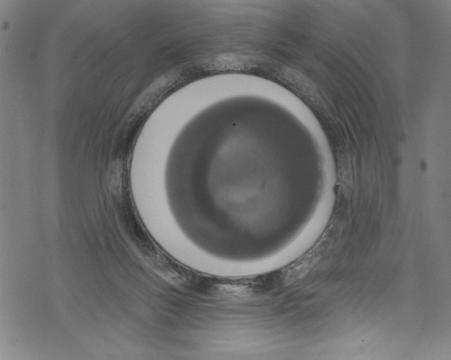 X0000073970167200609181500