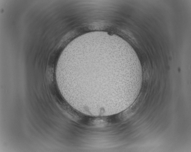 X0000073970171200609181500