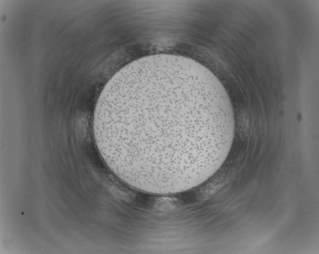 X0000073970222200609181459