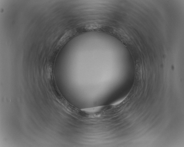 X0000073970227200609181459