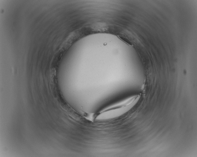 X0000073970229200609181459