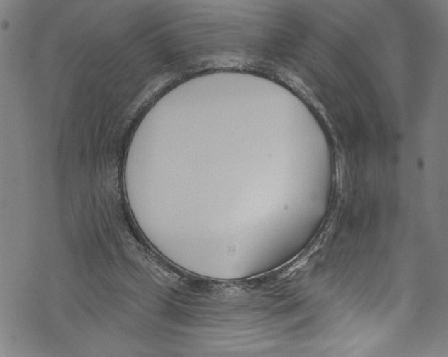 X0000073970249200609181458