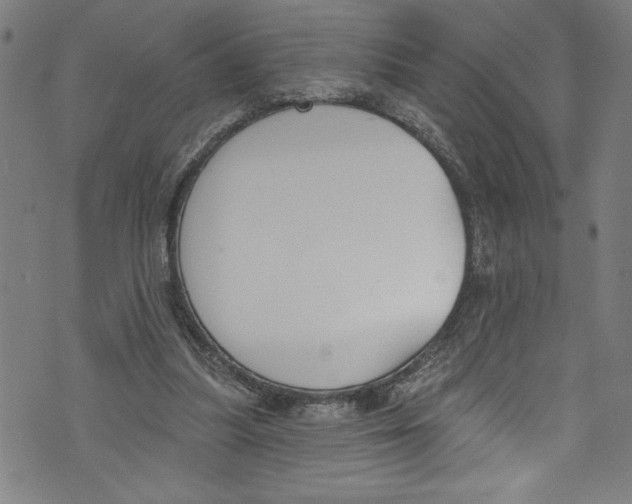 X0000073970251200609181458