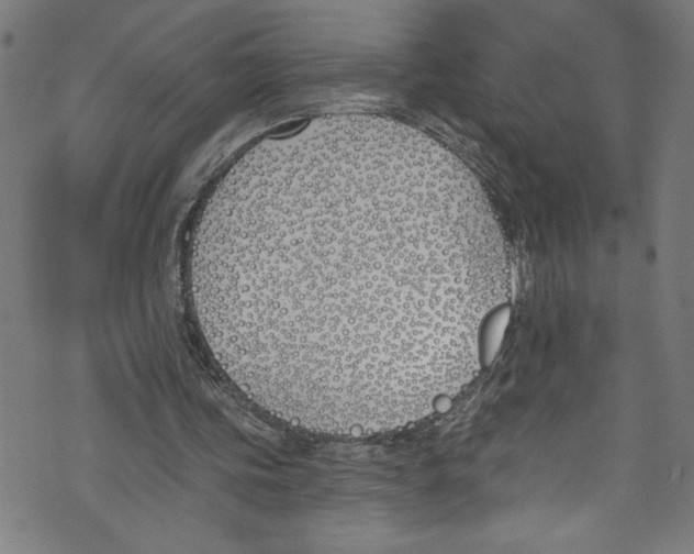 X0000073970339200609181457