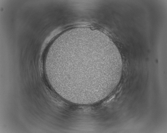 X0000073970343200609181457