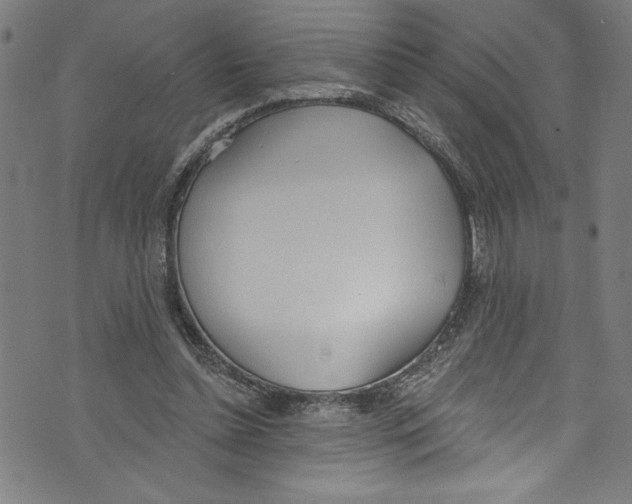X0000073970348200609181457