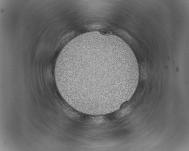 X0000073970377200609181457