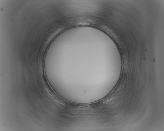 X0000073970386200609181457