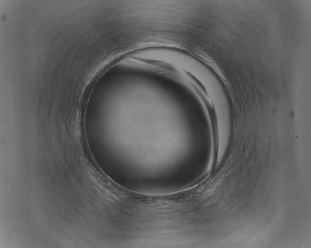 X0000073970387200609181457