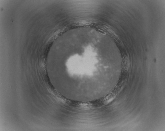 X0000073970415200609181456