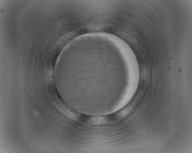 X0000073970526200609181454