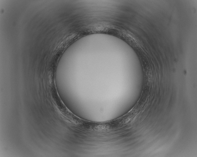 X0000073970546200609181454