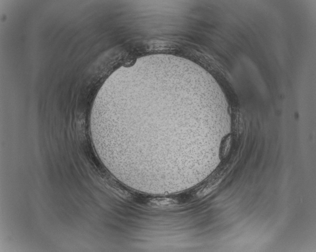 X0000073970557200609181454