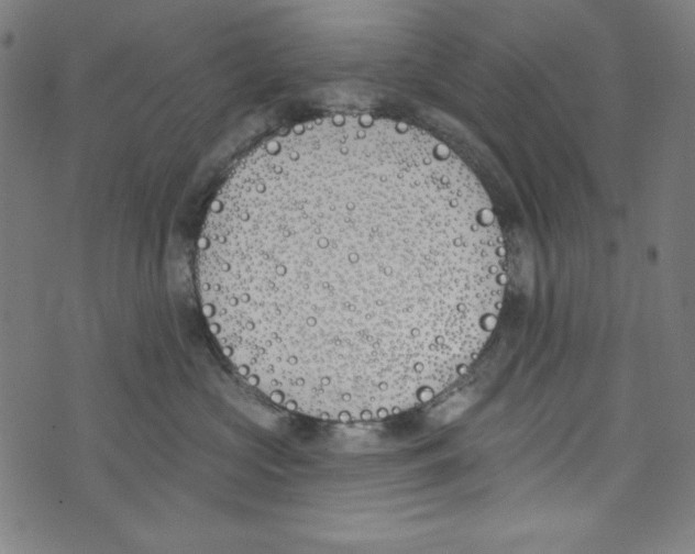X0000073970573200609181454