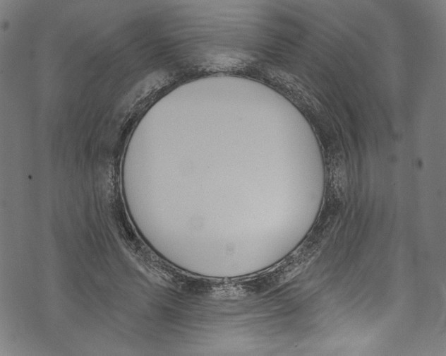 X0000073970591200609181453