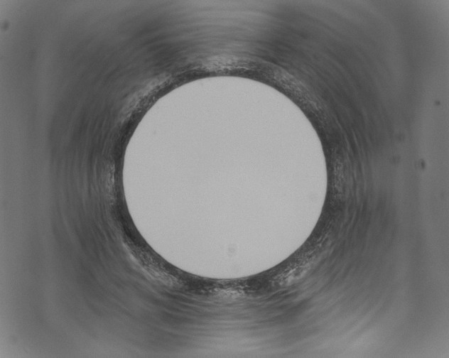 X0000073970592200609181453