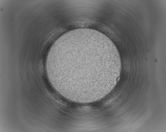 X0000073970594200609181453